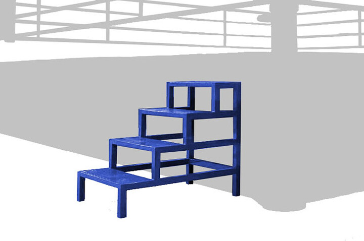 Escada para ringue de boxe | NineStars®