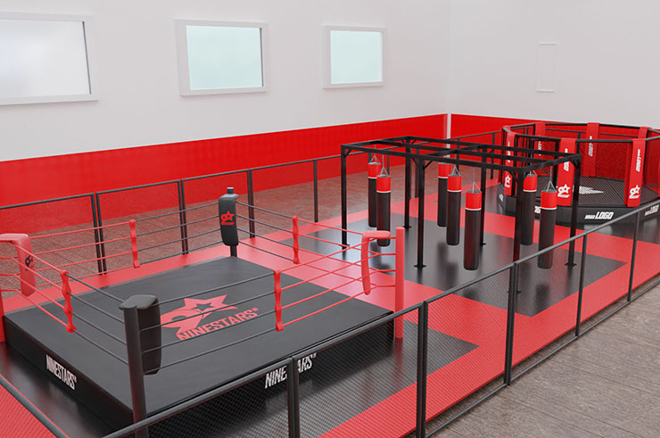 Fight Zone - Complete Customized Gym, NineStars