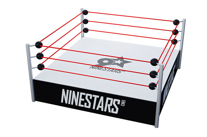 Ring de Catch WWE, sur plateforme - 100% Personnalisé, NineStars