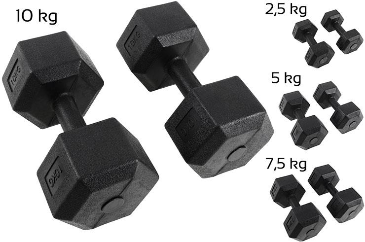 Paire d'haltères Hexagonales de 2,5 à 10 kg