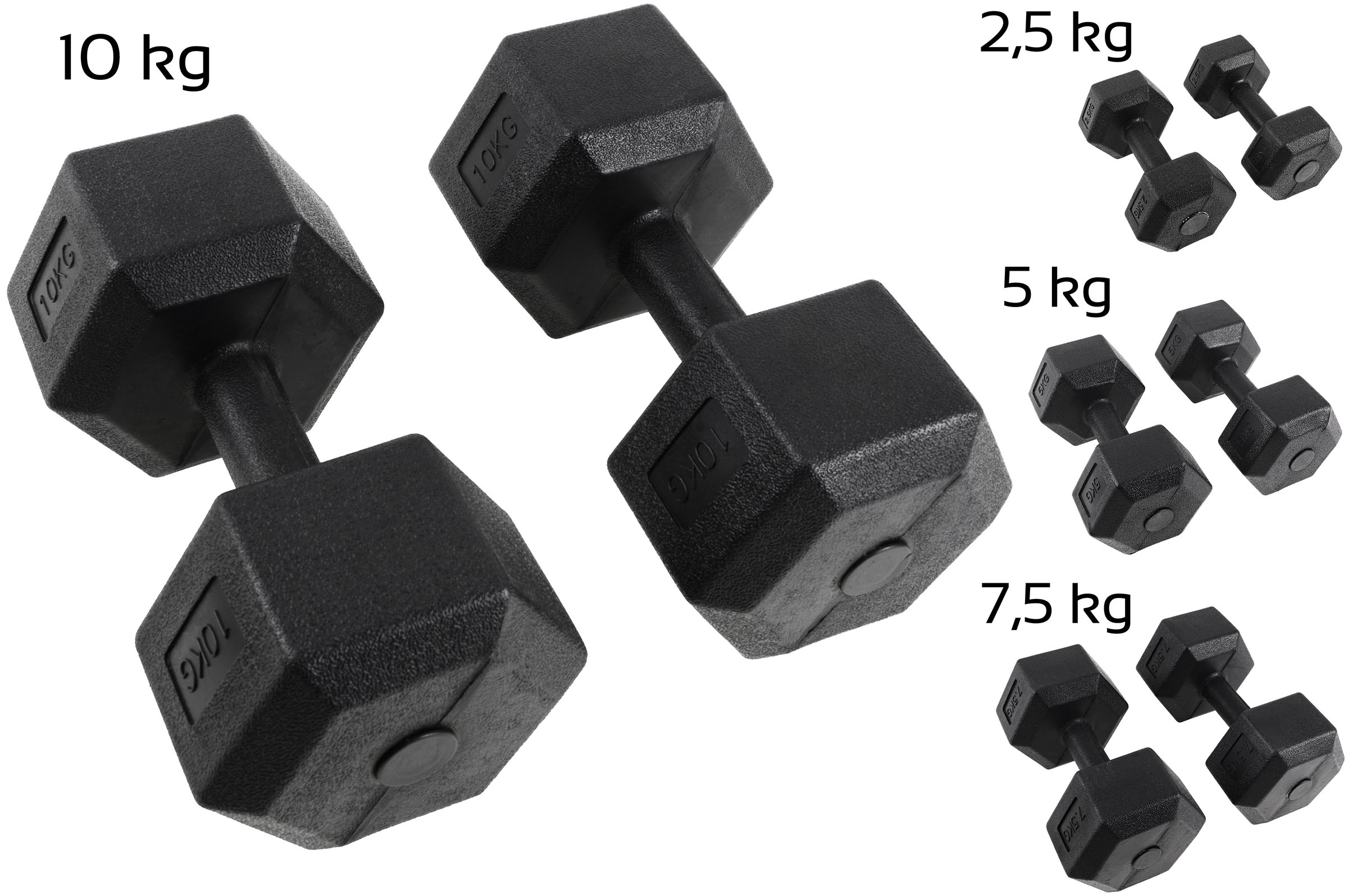 Paire d'haltères Hexagonales de 2,5 à 10 kg 