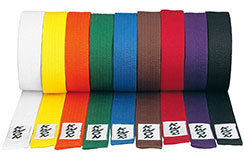 Budo Stitched Belt - Customizable for Club, Kwon