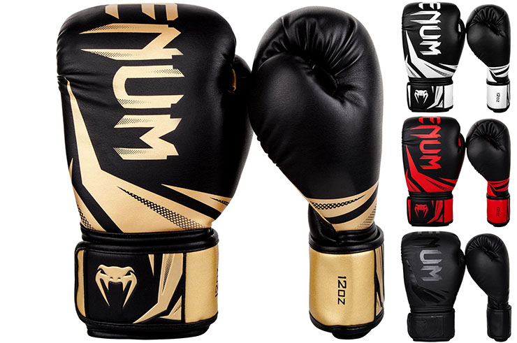 Boxing Gloves ''elite'' - Skintex Leather, Venum