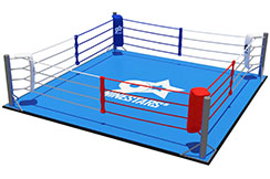 Ring de boxeo, Ninestars