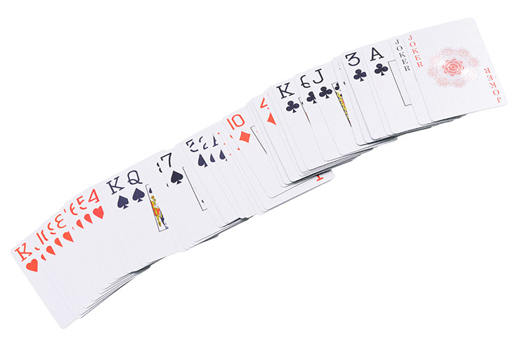 Juego de 55 cartas para la práctica de juego y lanzamiento