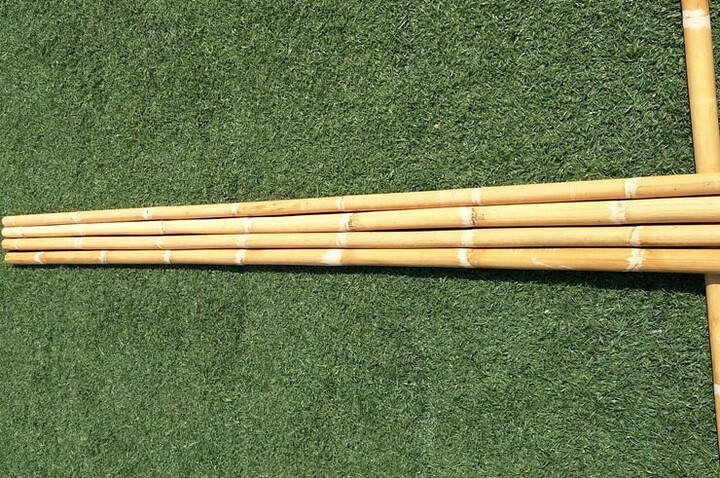 Pau reto, Rattan