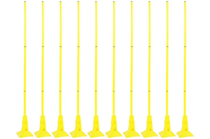 Training cone, with holes for pole