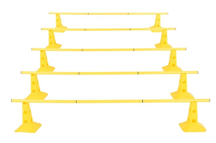 Training cone, with holes for pole