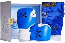 Collector boxing gloves, Limited Edition Dragon Ball Z - Majin Vegeta, Elion Paris