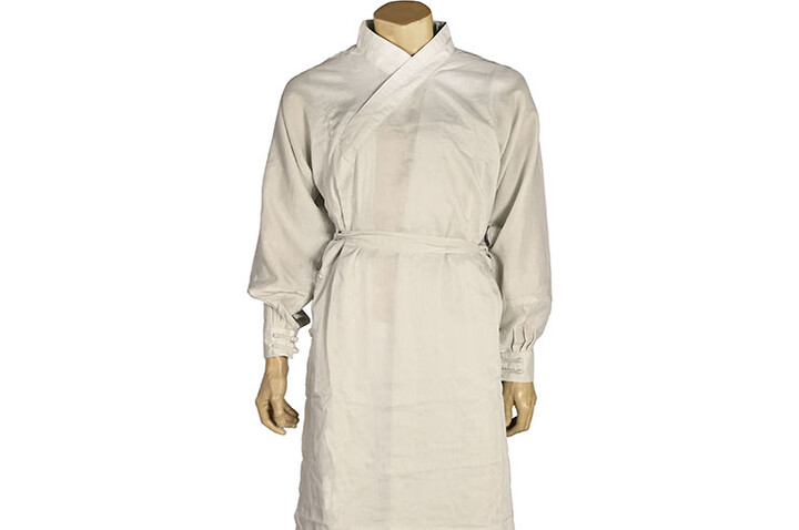 Tenue Wudang Daopao Longue