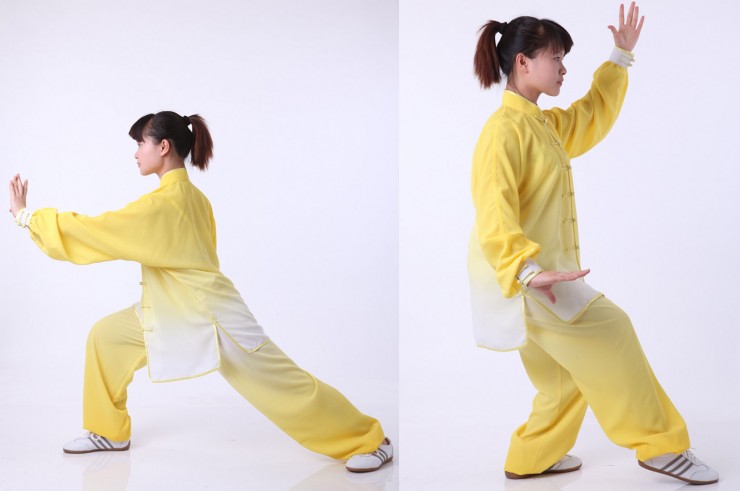 Tai Chi Uniform, Gradient Tones, Bicolor Classical