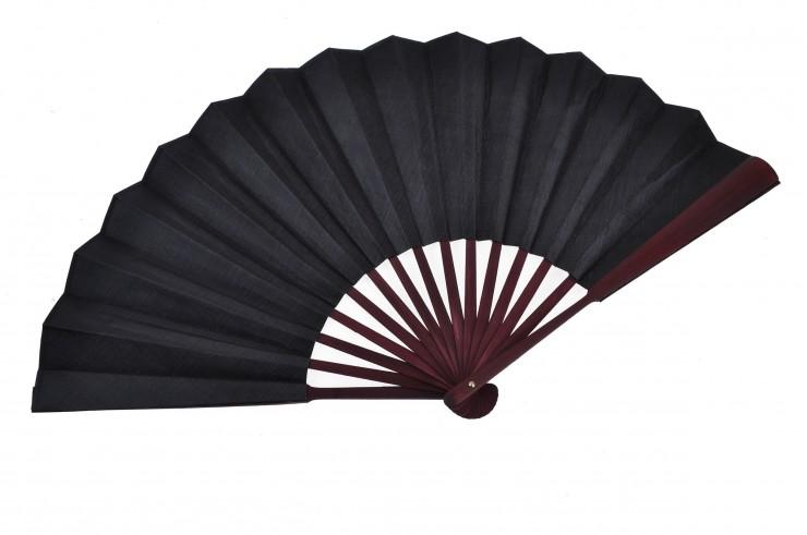 Traditional Fan