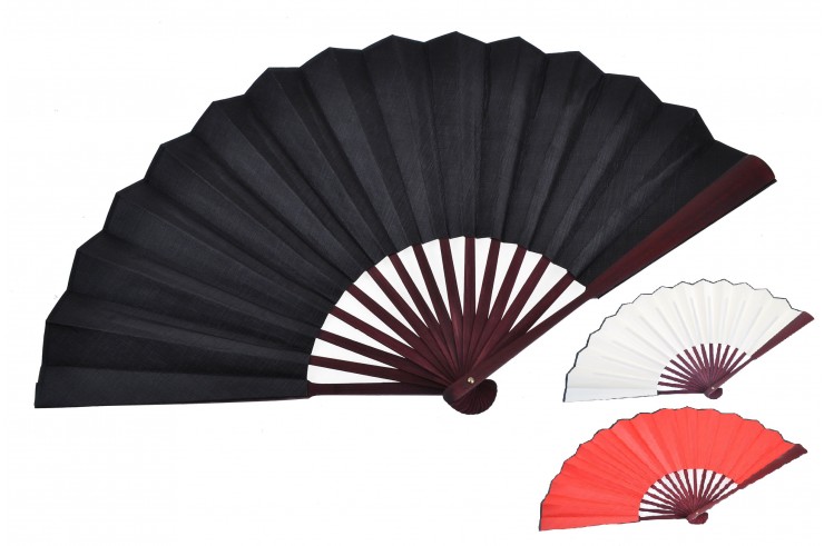 Traditional Fan