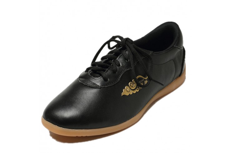 Zapatos de Taiji de cuero, Longquan