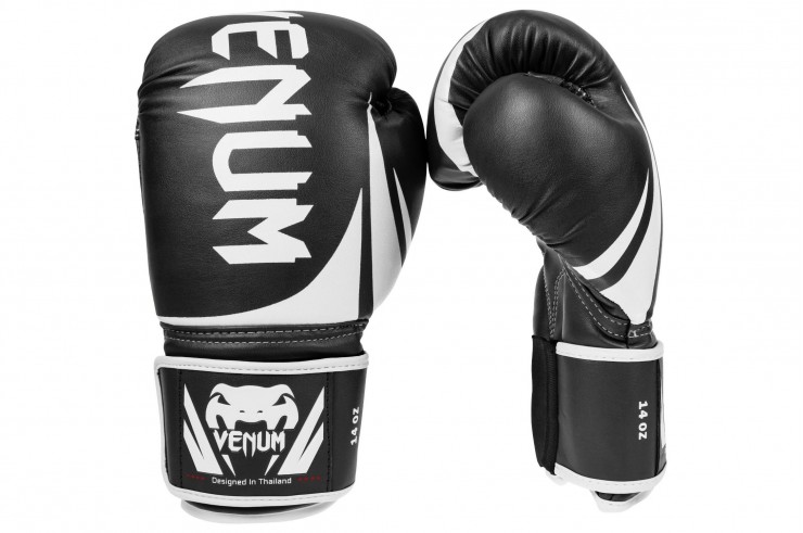 Boxing Gloves 10oz - Challenger 2.0, Venum