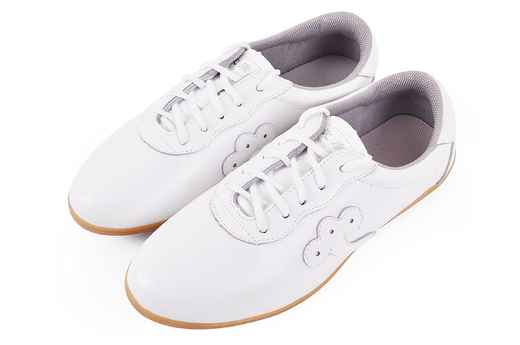 Zapatos Taiji «Qiankun»