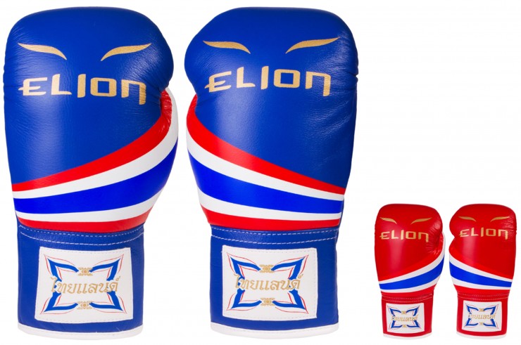 Training Boxing Gloves, Thai - Paris, Elion
