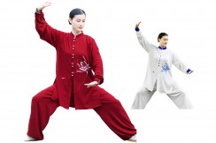 Traje de Taiji ZhengFengHua, ShouHuiHua