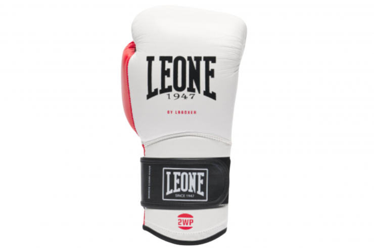 Boxing gloves, Buffalo leather - TECNICO N3, Leone