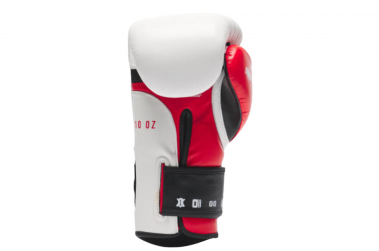 Boxing gloves, Buffalo leather - TECNICO N3, Leone