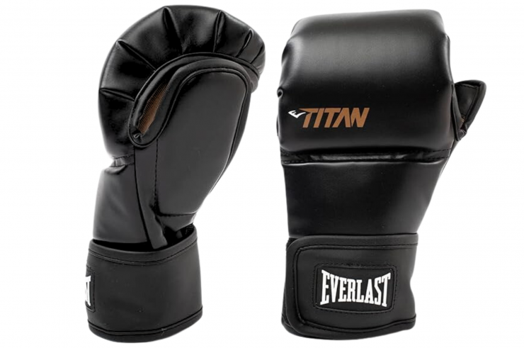 Gants de MMA - Titan Hybrid, Everlast