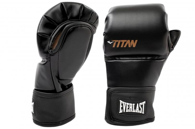 MMA Gloves - Titan Hybrid, Everlast