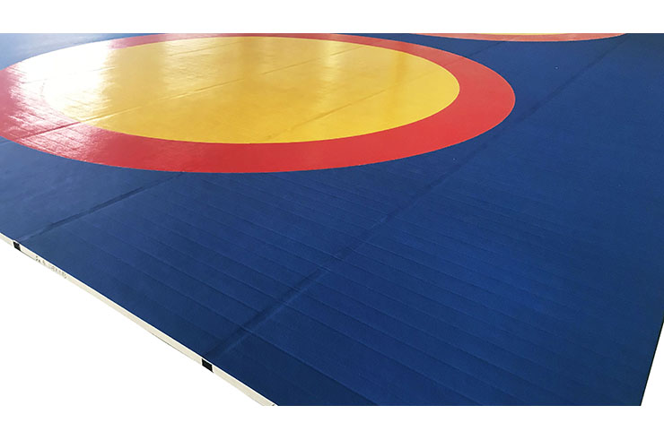 Official competition surface - Sambo