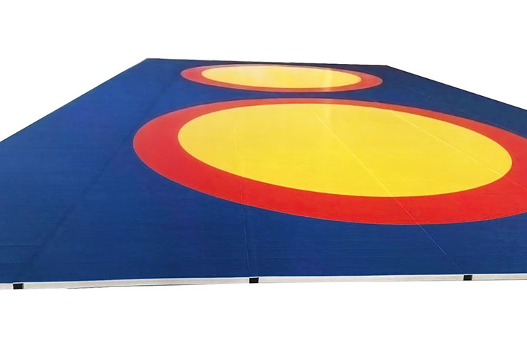 Official competition surface - Sambo