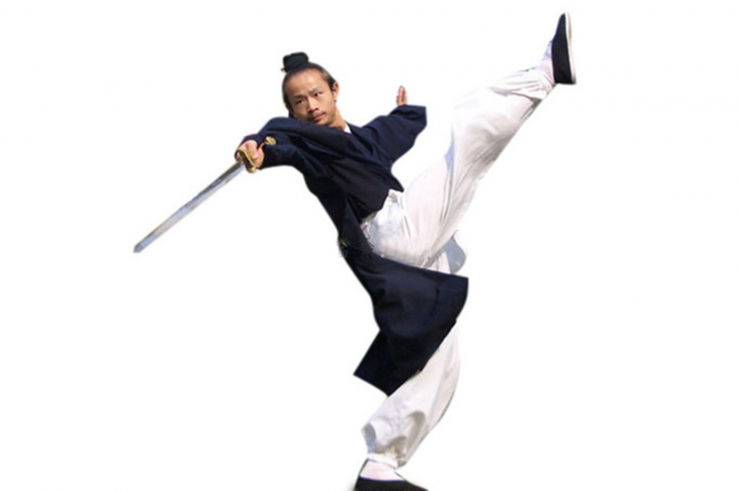 Robe Wudang Changpao, Bleu marine