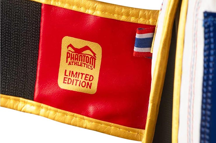 Muay Thai gloves - Limited Edition, Phantom Athletics
