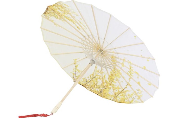 Print Umbrella with Ribbons, White Fox