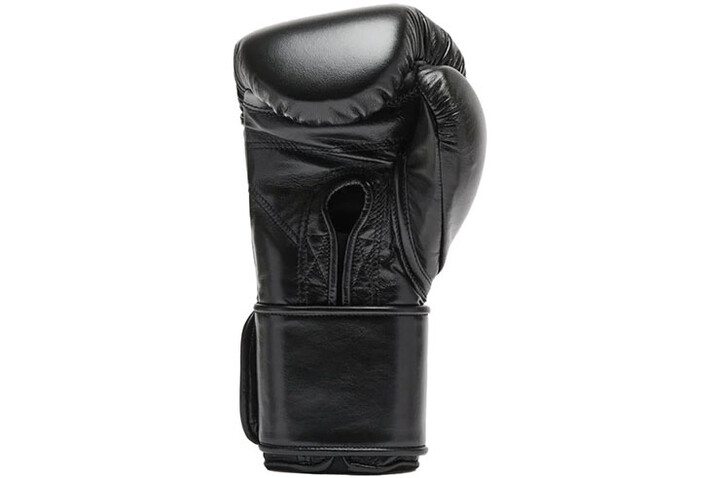 Boxing Gloves - Orlando Tricolore, Leone
