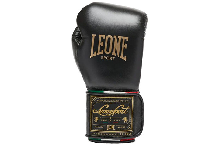 Boxing Gloves - Orlando Tricolore, Leone