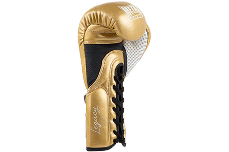 Boxing gloves, Horsehair - Legacy, Metal Boxe