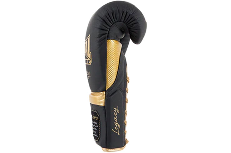Boxing gloves, Horsehair - Legacy, Metal Boxe