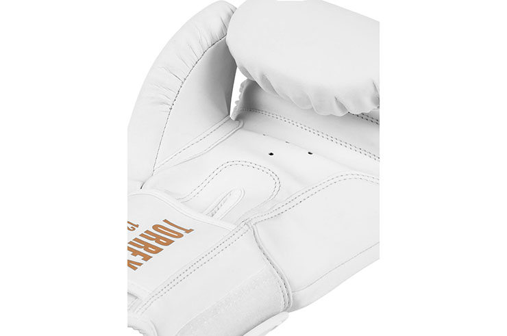 Boxing gloves, Torrey - Gold, Tapout
