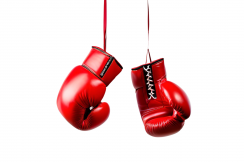 Decorative Giant Boxing Gloves