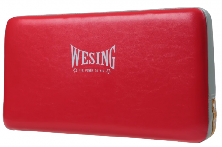 Iranian Style Sparring Shield, Wesing