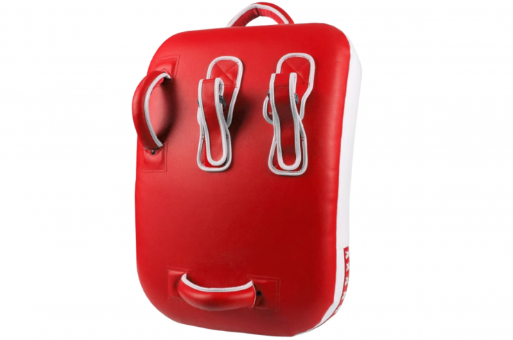 Bouclier de Frappe - Performance, Wesing