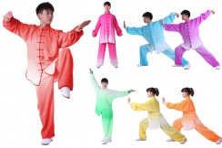 Traje Tai Chi, Gradiente Bicolor
