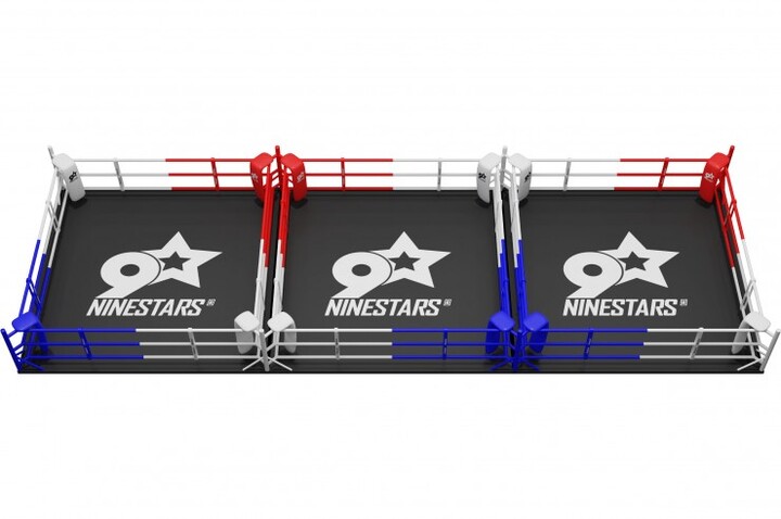 Triple Ring de Boxe, 100% Personnalisable | NineStars®