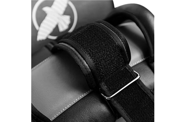 Pair of Paos - PTS3, Hayabusa