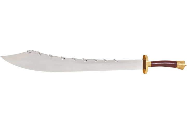 Sabre 9 Anneaux - Semi-rigide