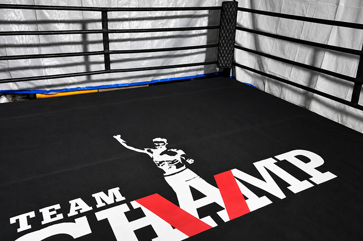 Lona de PVC para ring de boxeo, 100% personalizables | NineStars®