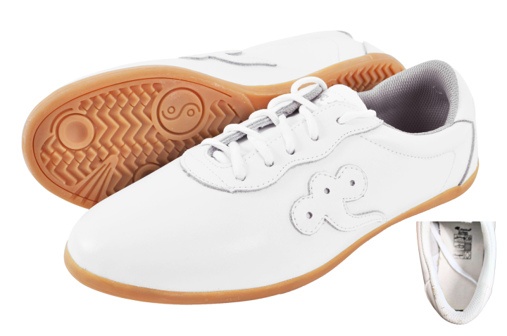 Taiji Shoes, Leather – Qiankun (stained)