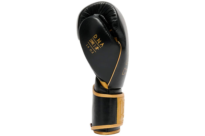 Boxing Gloves – DNA Premium, Leone