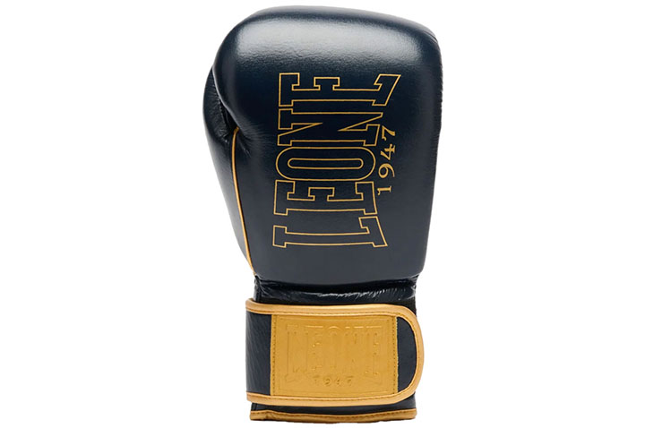 Boxing Gloves – DNA Premium, Leone