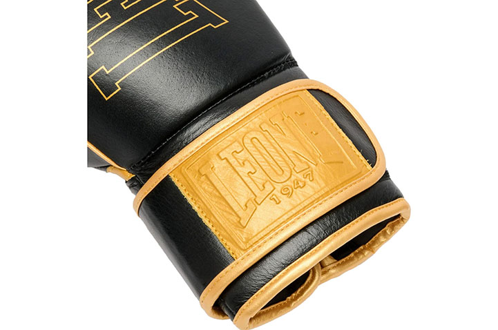 Gants de Boxe - DNA Premium, Leone