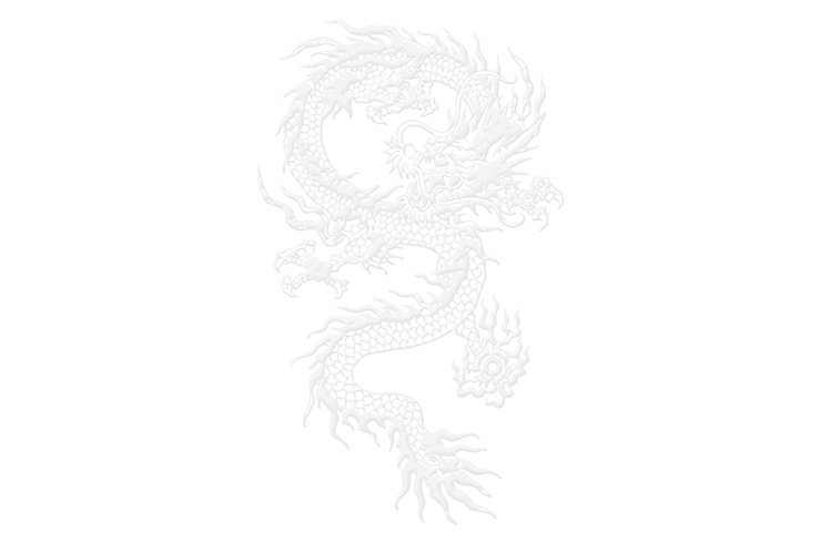 Tenue Sanda Boxe Chinoise - Dragon, Hua Xin
